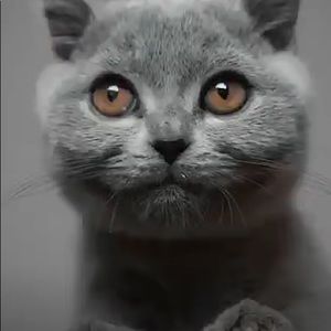 Meet your Posher, Mariam